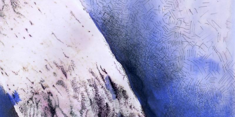 Studi sull'Albero-Anima Studi sull'Albero-Anima