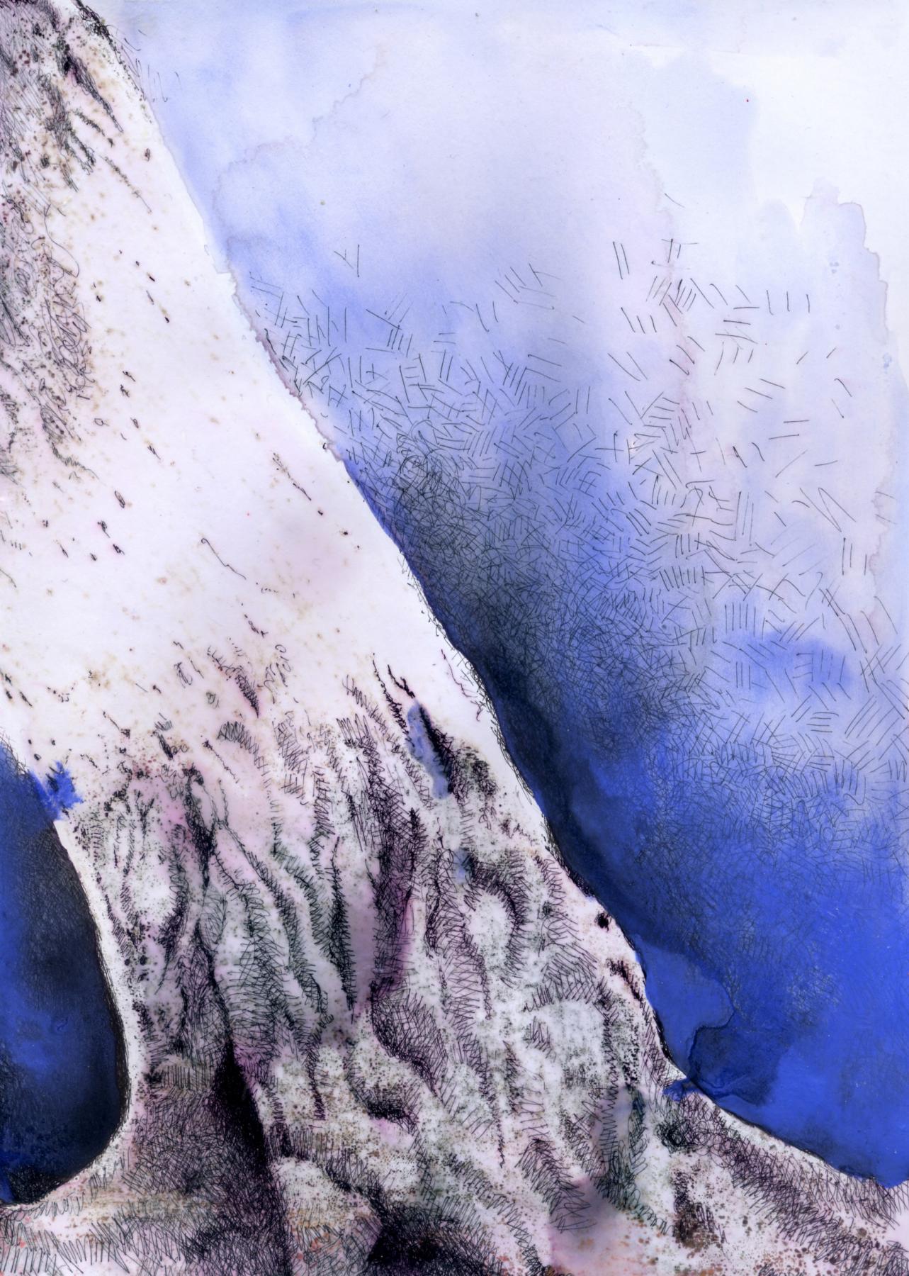 Studi sull'Albero-Anima Studi sull'Albero-Anima