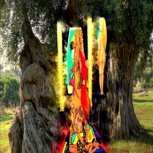 "Potentia divina gratia In Urlo d’Ulivo”di Rosa Didonna "Potentia divina gratia In Urlo d’Ulivo”di Rosa Didonna