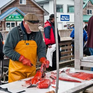 USA. Alaska 1/3. Forme di vita