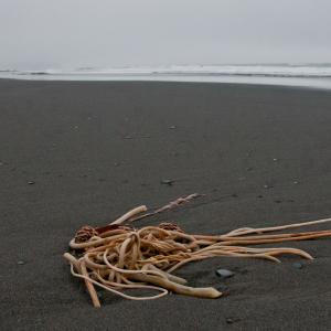 USA. Alaska 2/3. Confini e oltre