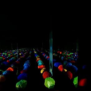 Stick out like a sore thumb