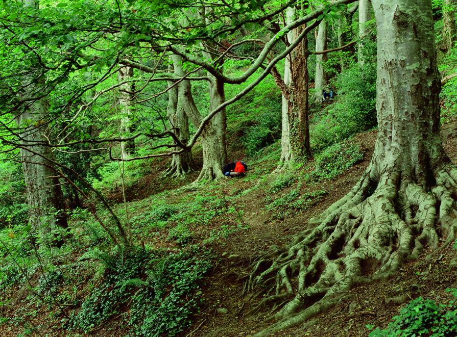 Knocksink I Knocksink I