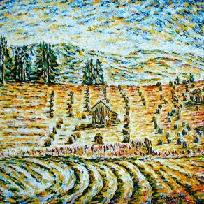 Sexten:Estate ai Prati di Croda Rossa I