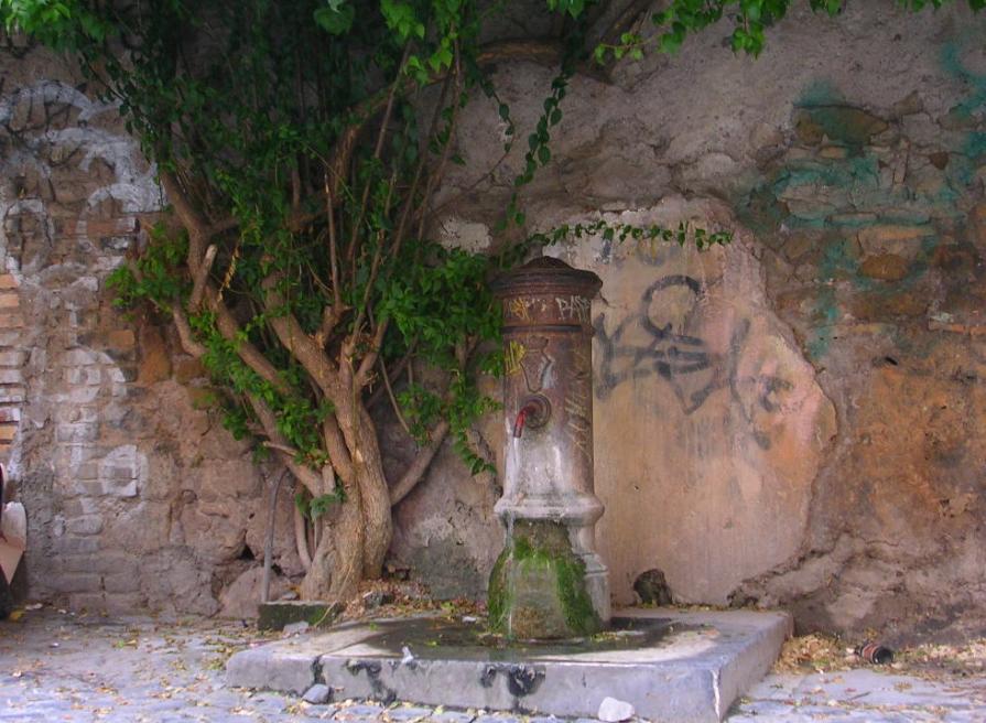 ROMA - NASONE IN TRASTEVERE