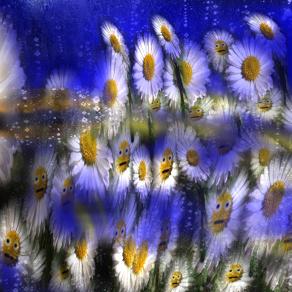 Un comizio in piazzale dei fiori a San Remo..