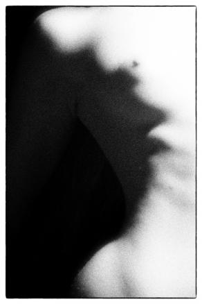 come un battito d'ali