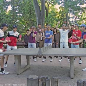 Partita a ping pong