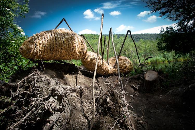Il punto della formica nell’erba Il punto della formica nell’erba