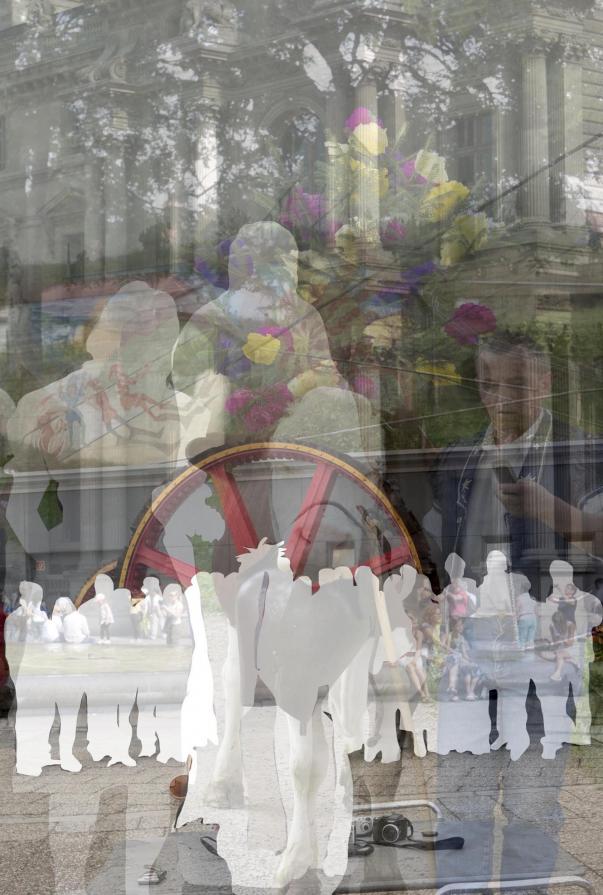 Shooting Stars 12 Shooting Stars 12