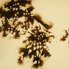 La Conversione di Tamino