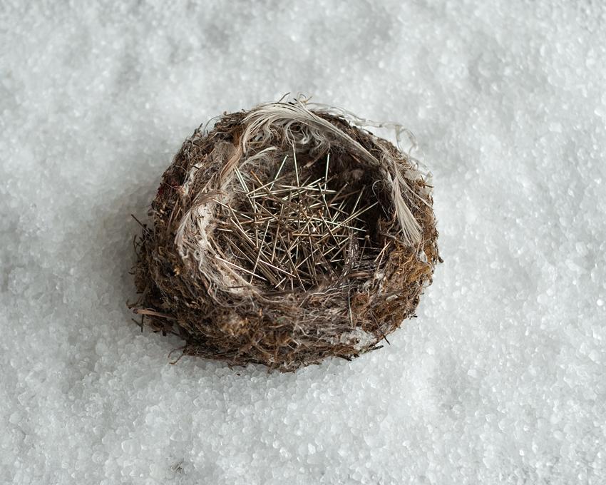 Alta e intatta è la neve sul versante dell'ombra