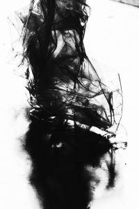 artist @ nigal goodship - venus