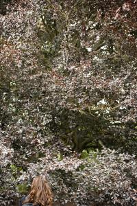 Ivana Salfity - Our own thickness