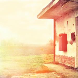 nei pressi di Soliera nei pressi di Soliera