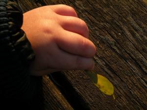 Giuseppe Borsoi - Piccole pelli crescono!