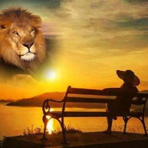 Ti aggiusto il cuore !!!