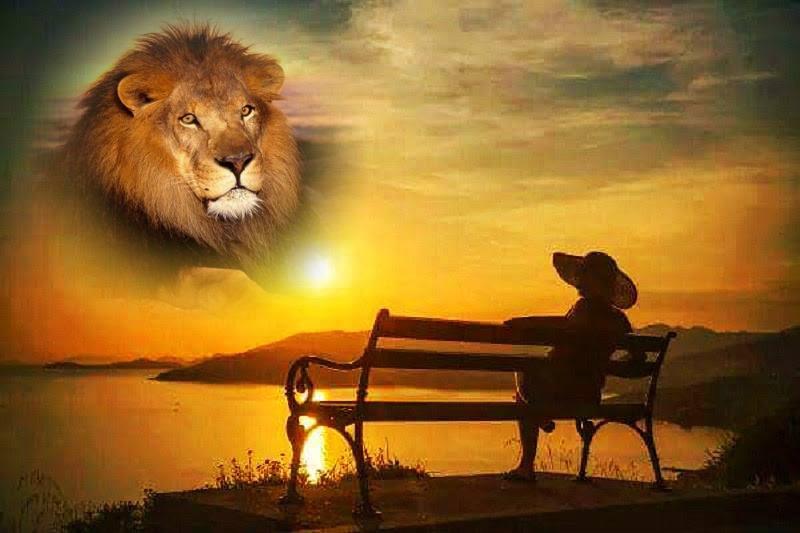 Ti aggiusto il cuore !!!