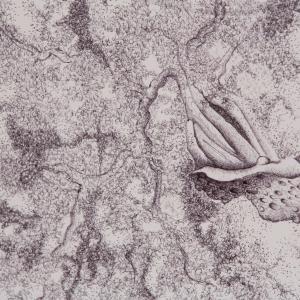 a U L I V O o f R 7 ®