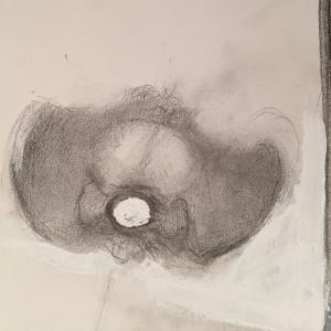 pelvis- bird view pelvis- bird view