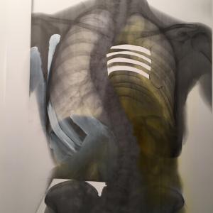 my ribcage and my pelvis my ribcage and my pelvis