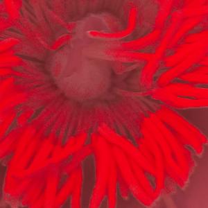 The insides of the previous Flower .