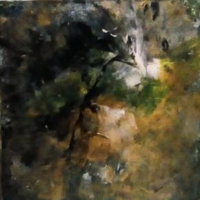 Il tralcio della vita.