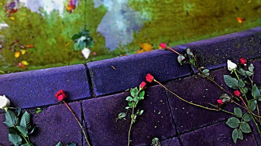 Earhtquake In Memorial