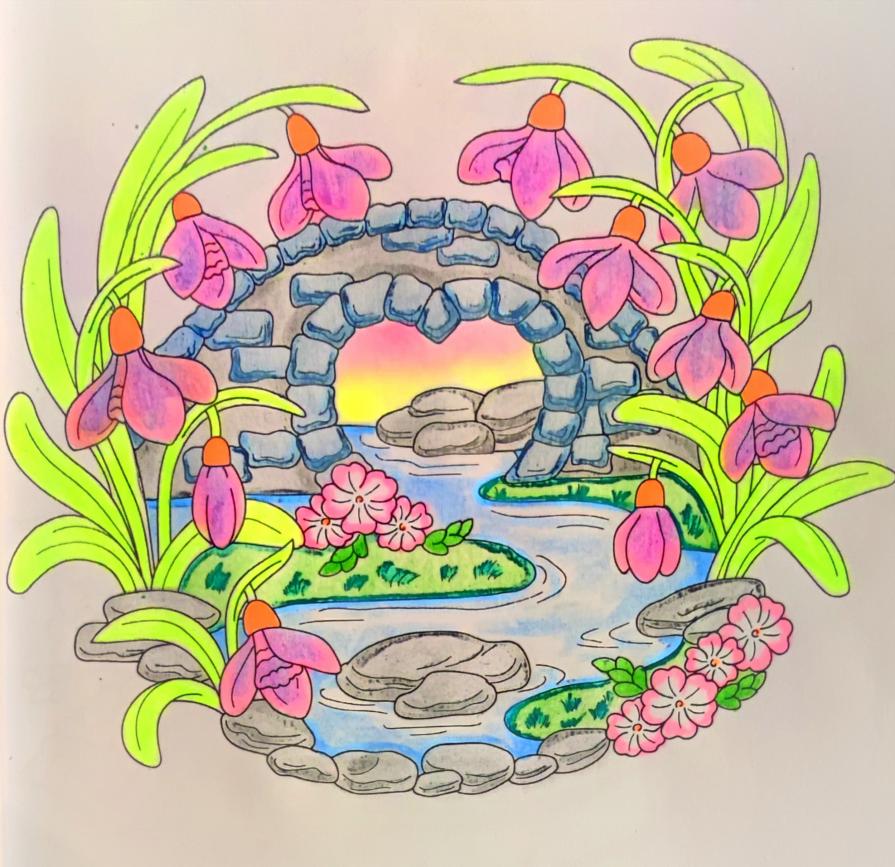 Una biblioteca di meraviglie...!!!