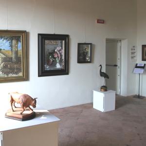 Altra Natura a Revere (mn)