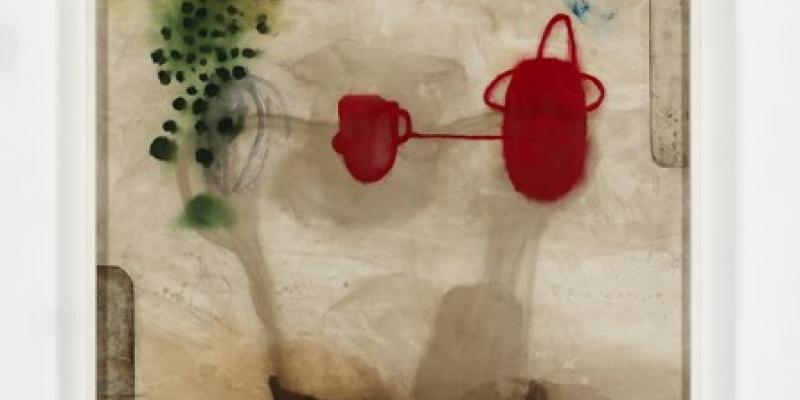 Mirko Baricchi. Humus