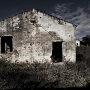 Carlo Vannini. Cupi fantasmi di una vita perduta