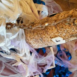 la performance di  Rosa Didonna“Viaggio di una Geisha e la ritrovata Sibilla”