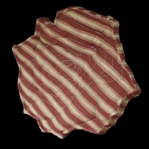 C9 - Arte a corte a settembre, Tissue