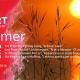 VirArt Summer Prize -  Prize List