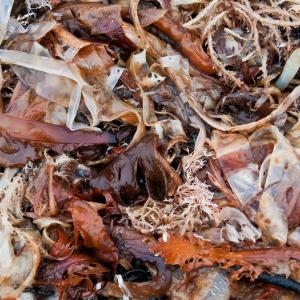 USA. Alaska 3/3. Indagine sulla materia pura