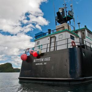 USA. Alaska 1/3. Forme di vita