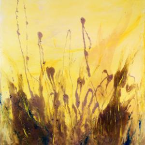 Creazione e Materia al Palazzo Ducale di Revere