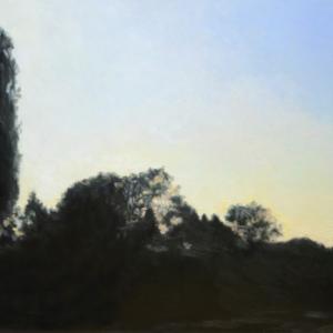 Natura:Luci e Ombre a Modena.