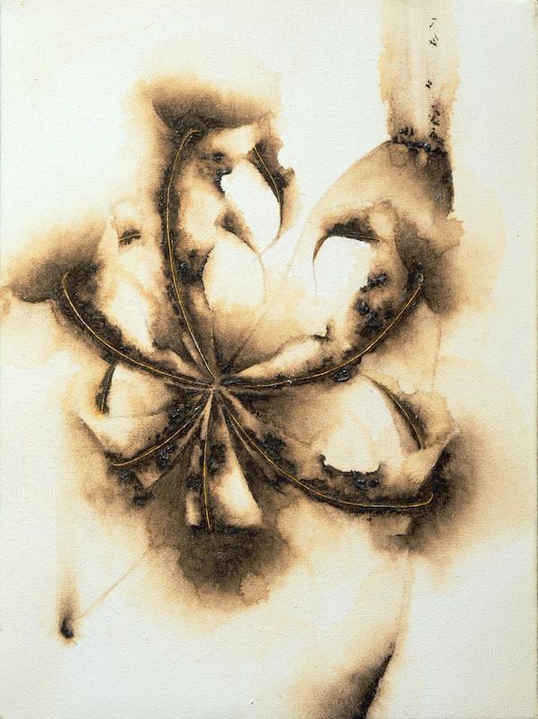 Studio per hortus conclusus