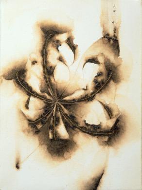 Studio per hortus conclusus