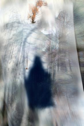 un anima in seggiovia,fra i boschi toscoemiliani.