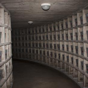 Living memory traces