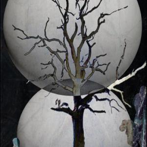 ALBERI , SOLO ALBERI , AMATI ALBERI .