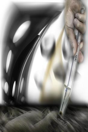 la terra è malata . con lei le nuove citta'