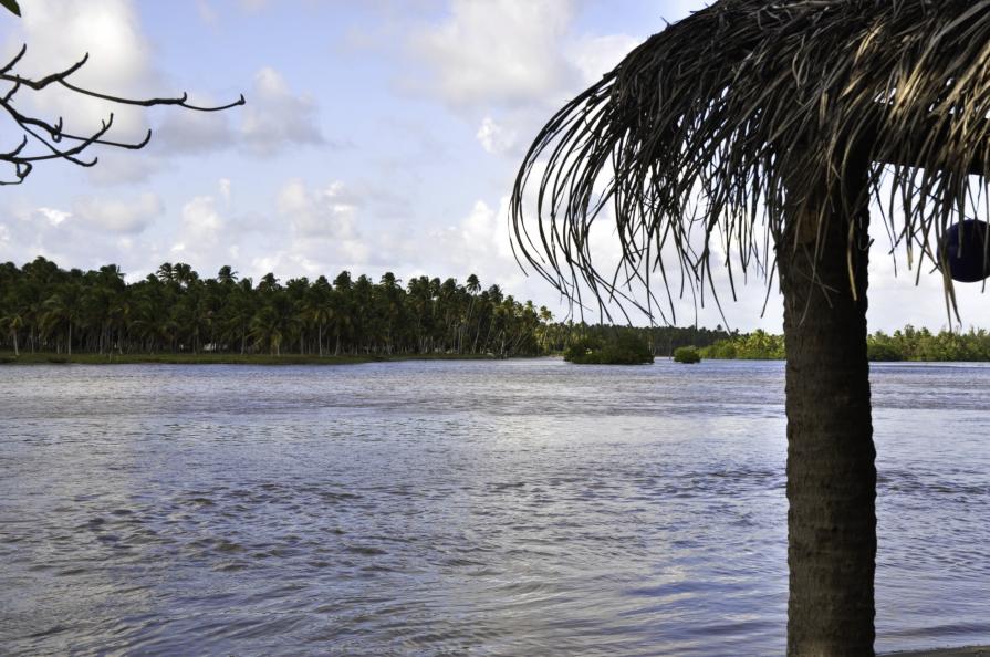 Somewhere in Paradise...