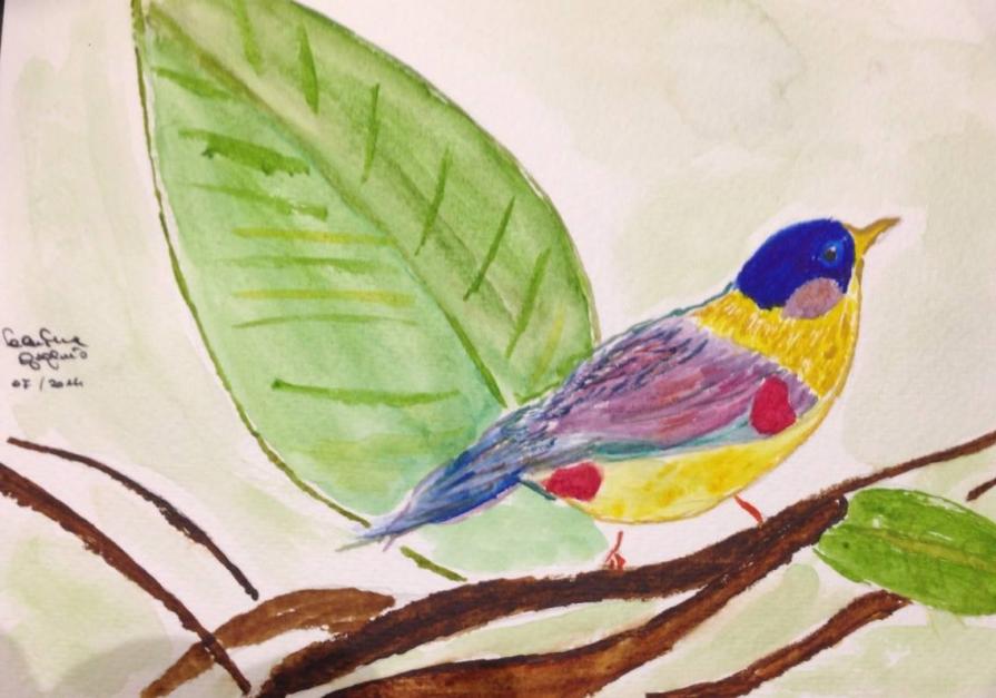 Mesia orecchie d'argento - acquarello