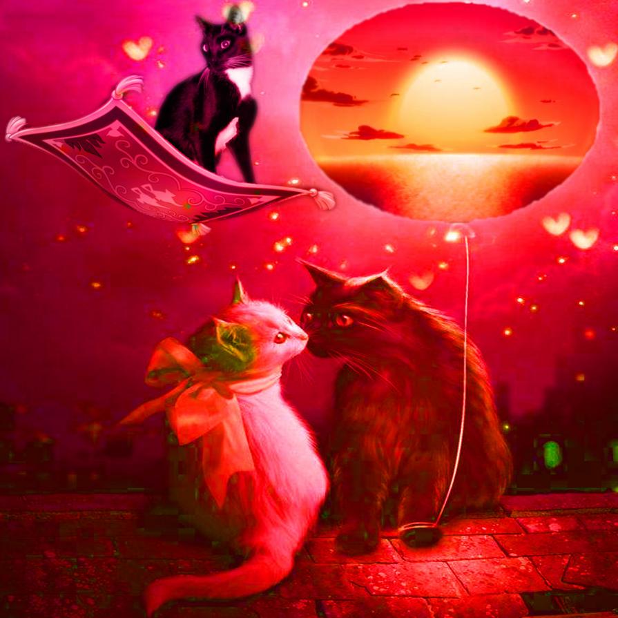 Una splendida gatta di nome Kitty amata da tutti ma ahimè era incompresa tra due cuori..!!! (2)