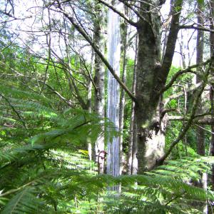 Songs from the Sky (detail)