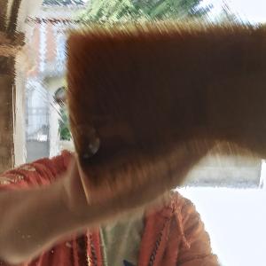 Collettivo Instabile Morelli Mazzesi Collettivo Instabile Morelli Mazzesi